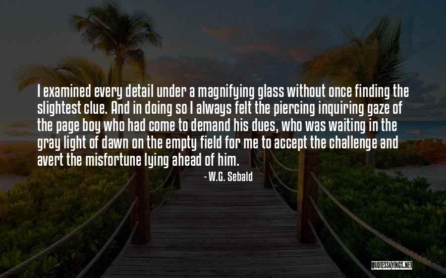 Inquiring Quotes By W.G. Sebald Inquiring Quotes By W.G. Sebald