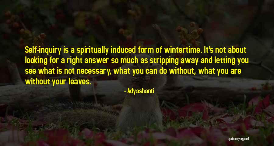 Inquiry Quotes By Adyashanti Inquiry Quotes By Adyashanti