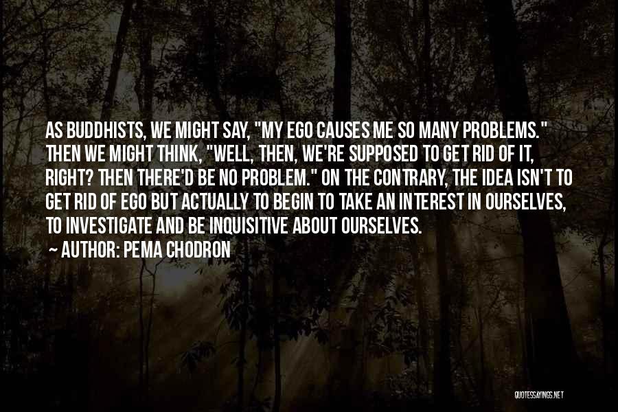 Inquisitive Quotes By Pema Chodron