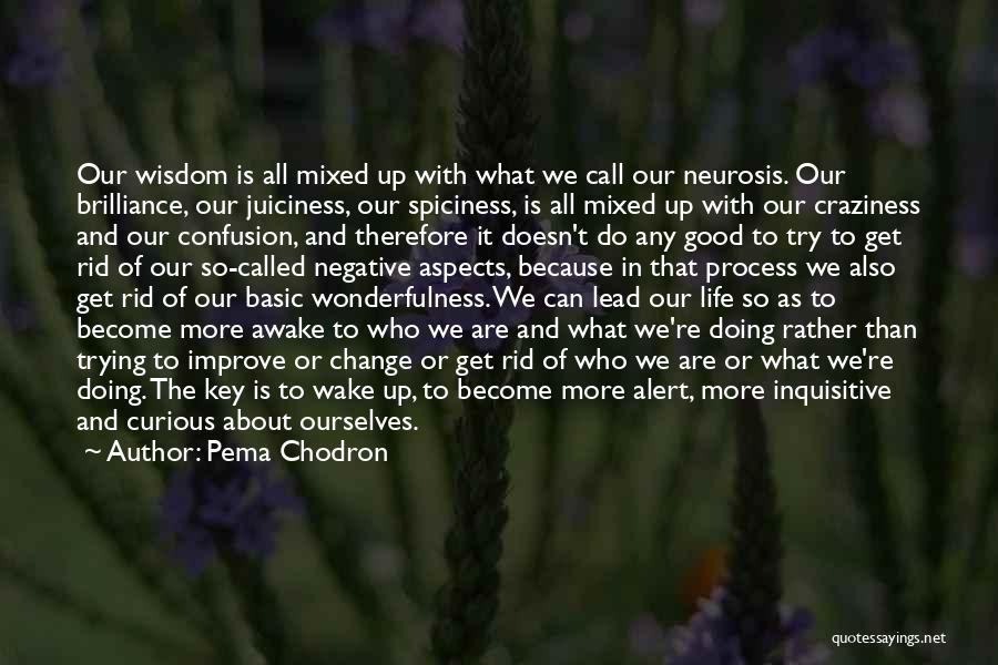 Inquisitive Quotes By Pema Chodron