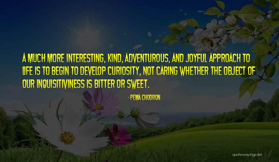 Inquisitiveness Quotes By Pema Chodron