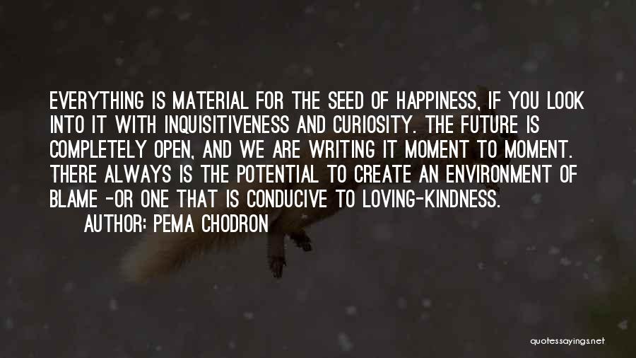 Inquisitiveness Quotes By Pema Chodron