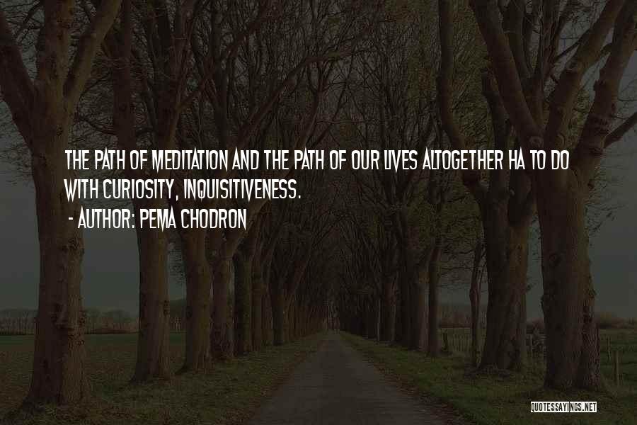 Inquisitiveness Quotes By Pema Chodron