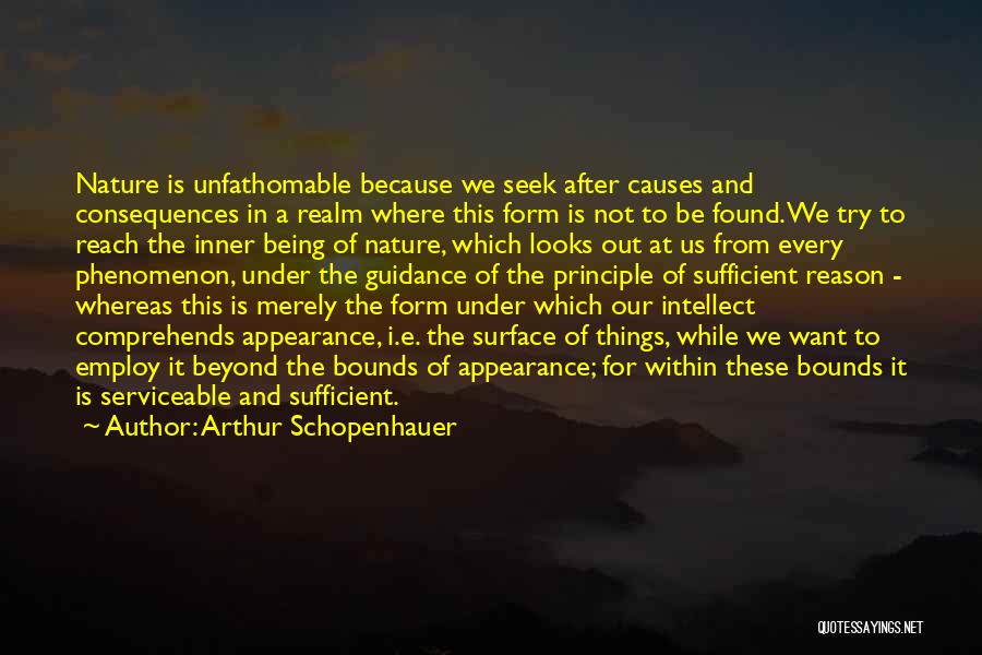 Inrush Current Quotes By Arthur Schopenhauer