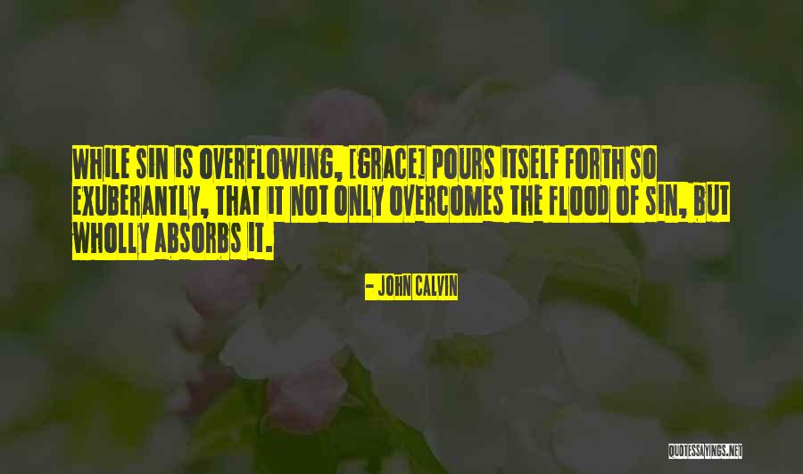 Ins Pido Ant Nimo Quotes By John Calvin Ins Pido Ant Nimo Quotes By John Calvin