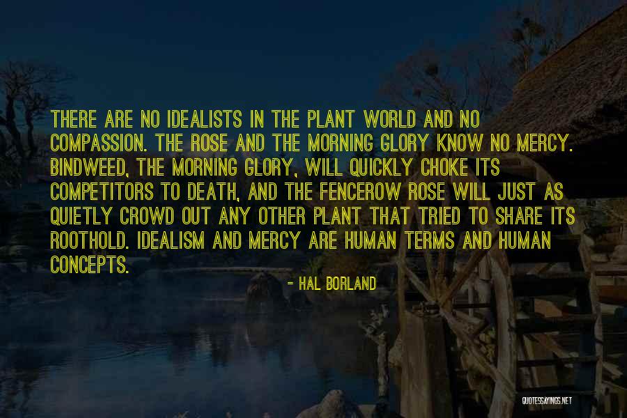 Insalubre Translation Quotes By Hal Borland Insalubre Translation Quotes By Hal Borland