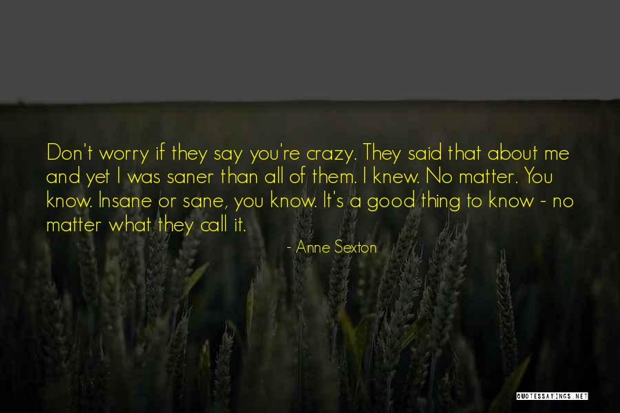 Insane And Sane Quotes By Anne Sexton Insane And Sane Quotes By Anne Sexton