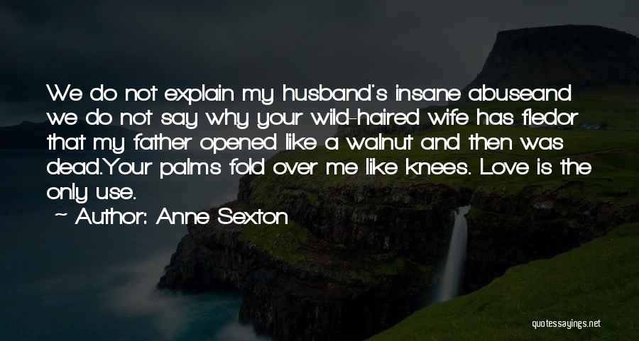 Insane Family Quotes By Anne Sexton