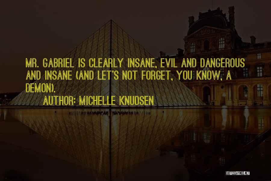 Insane Quotes By Michelle Knudsen