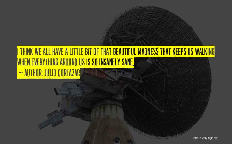 Insanely Sane Quotes By Julio Cortazar