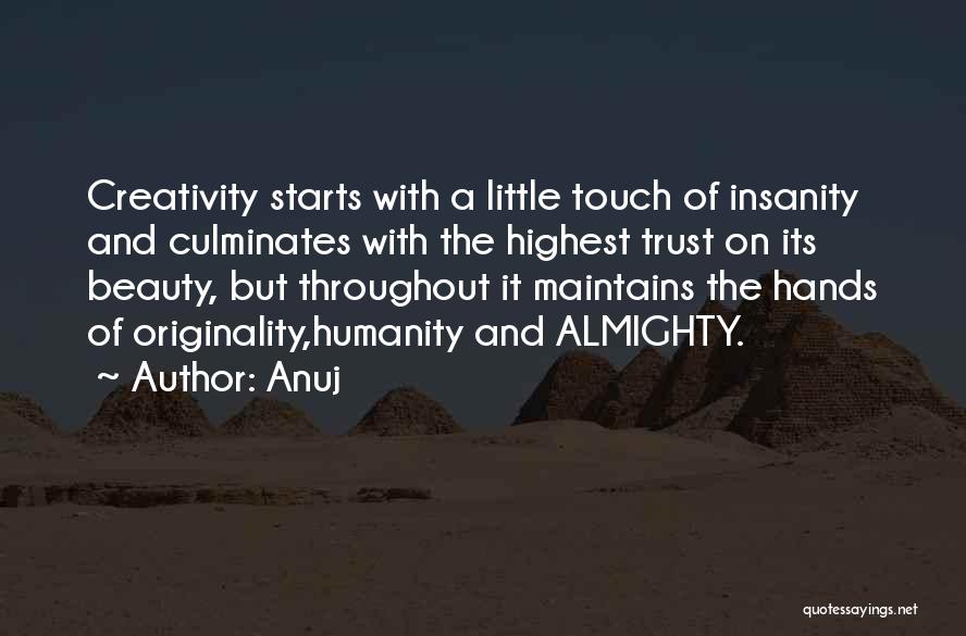 Insanity And Beauty Quotes By Anuj