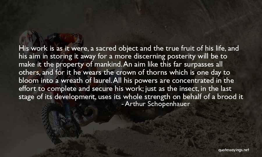 Insect Life Quotes By Arthur Schopenhauer Insect Life Quotes By Arthur Schopenhauer