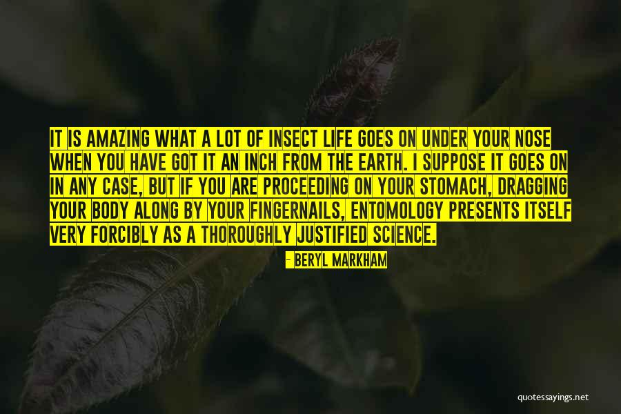 Insect Life Quotes By Beryl Markham Insect Life Quotes By Beryl Markham