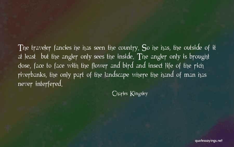 Insect Life Quotes By Charles Kingsley Insect Life Quotes By Charles Kingsley