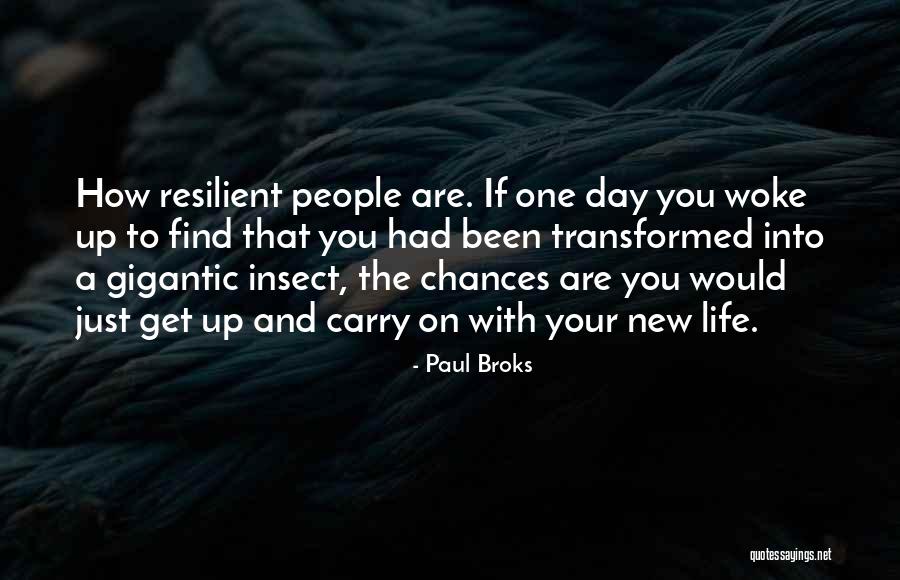 Insect Life Quotes By Paul Broks Insect Life Quotes By Paul Broks