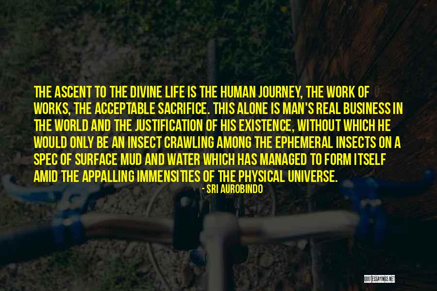 Insect Life Quotes By Sri Aurobindo Insect Life Quotes By Sri Aurobindo