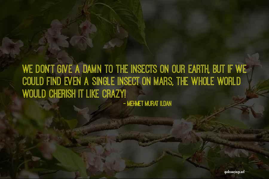 Insect Quotes Quotes By Mehmet Murat Ildan Insect Quotes Quotes By Mehmet Murat Ildan