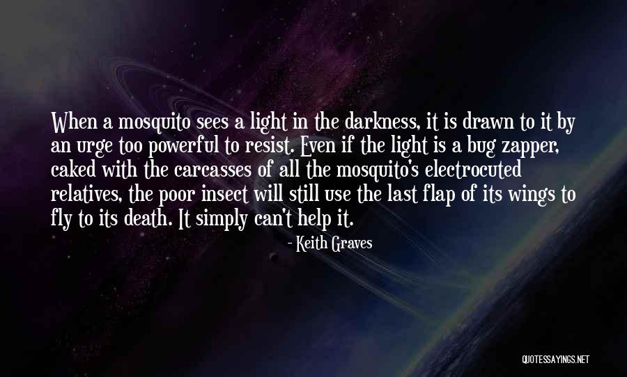 Insect Wings Quotes By Keith Graves Insect Wings Quotes By Keith Graves