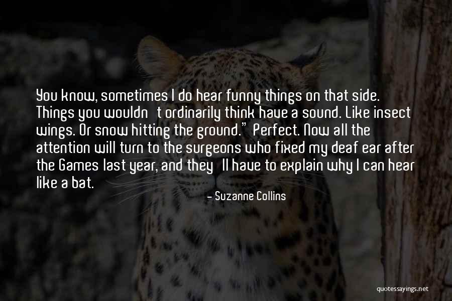 Insect Wings Quotes By Suzanne Collins Insect Wings Quotes By Suzanne Collins