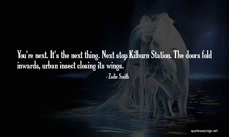 Insect Wings Quotes By Zadie Smith Insect Wings Quotes By Zadie Smith