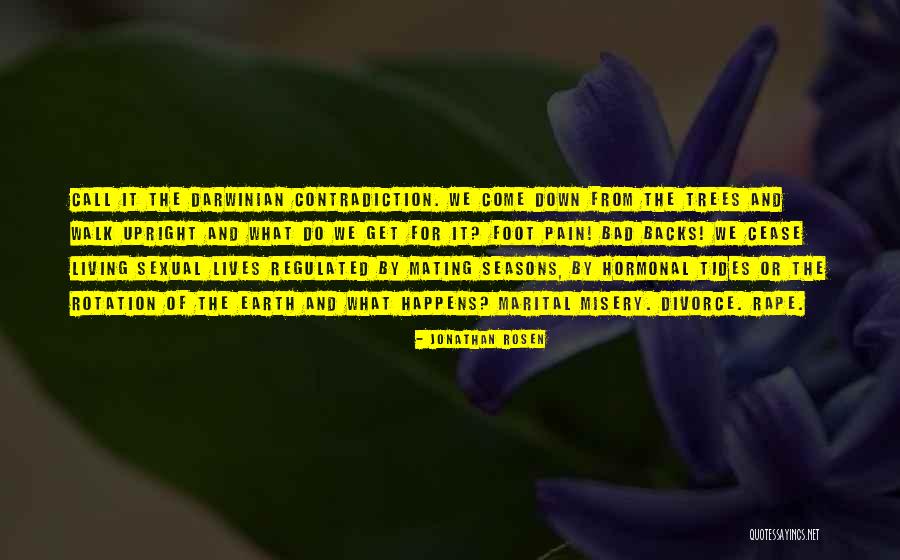 Insectes Pollinisateurs Quotes By Jonathan Rosen Insectes Pollinisateurs Quotes By Jonathan Rosen