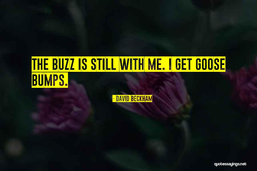 Insecticidal Quotes By David Beckham Insecticidal Quotes By David Beckham