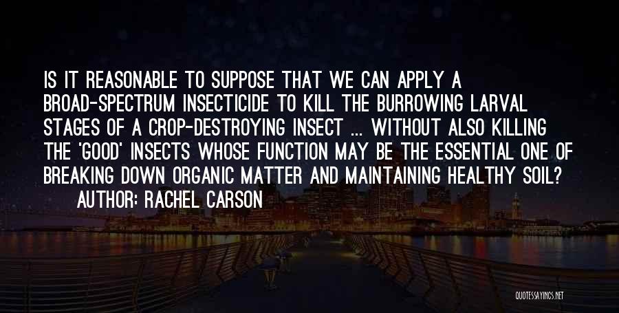 Insecticide Quotes By Rachel Carson