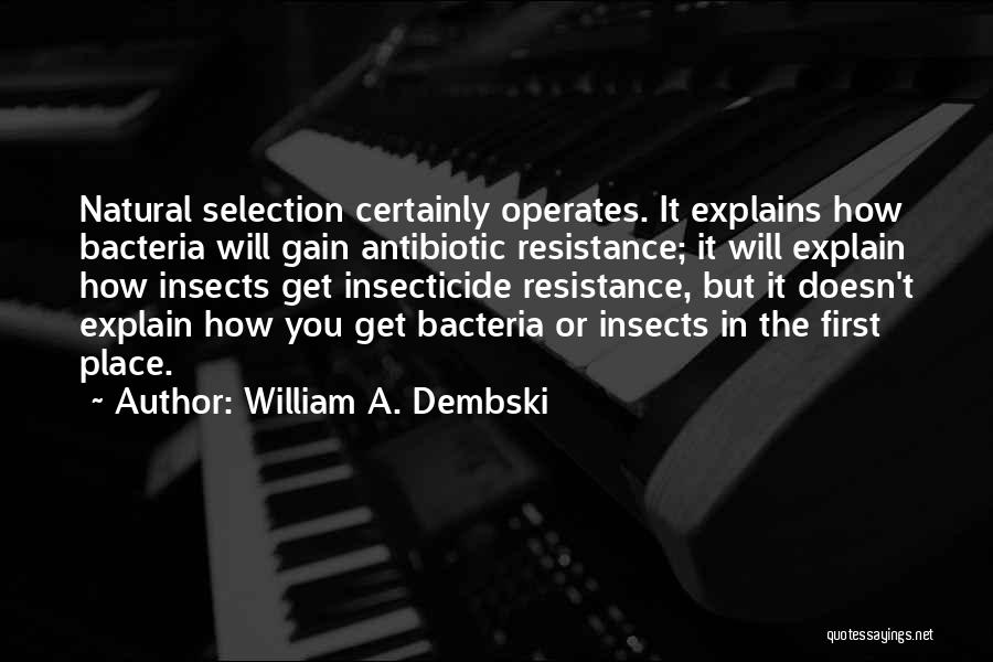 Insecticide Quotes By William A. Dembski