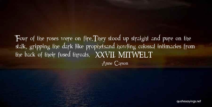 Insectoid Quotes By Anne Carson Insectoid Quotes By Anne Carson