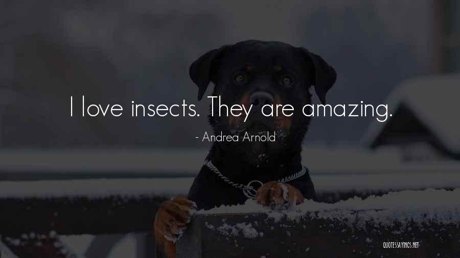 Insects Quotes By Andrea Arnold Insects Quotes By Andrea Arnold
