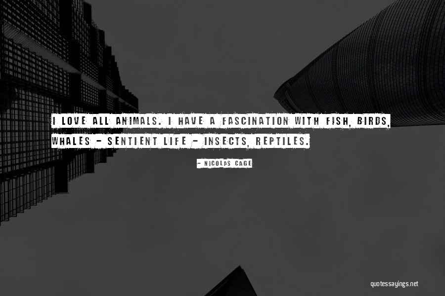 Insects Quotes By Nicolas Cage Insects Quotes By Nicolas Cage