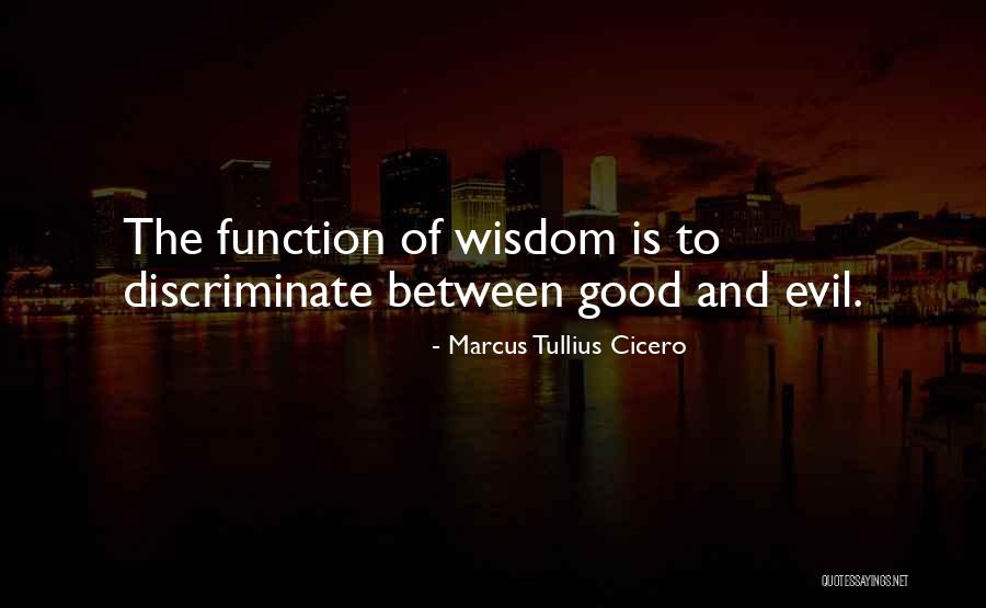 Insensato Significado Quotes By Marcus Tullius Cicero Insensato Significado Quotes By Marcus Tullius Cicero