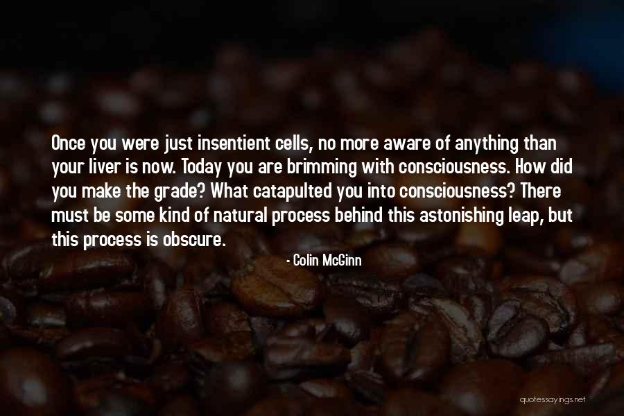 Insentient Quotes By Colin McGinn Insentient Quotes By Colin McGinn