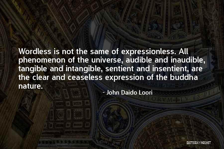 Insentient Quotes By John Daido Loori Insentient Quotes By John Daido Loori