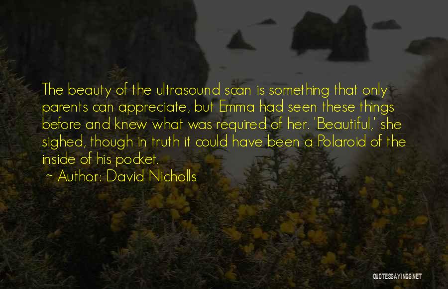 Inside Beauty Quotes By David Nicholls