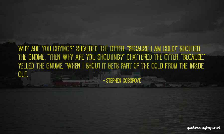 Inside Crying Quotes By Stephen Cosgrove Inside Crying Quotes By Stephen Cosgrove