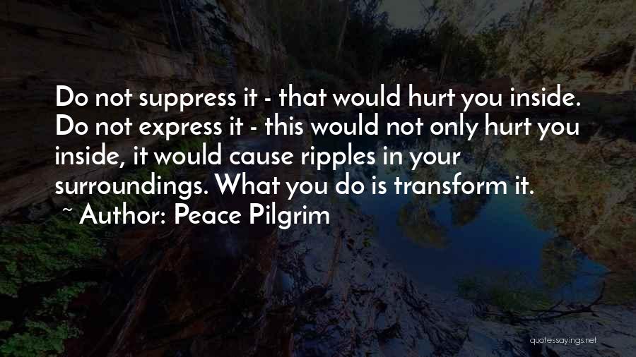 Inside Hurt Quotes By Peace Pilgrim