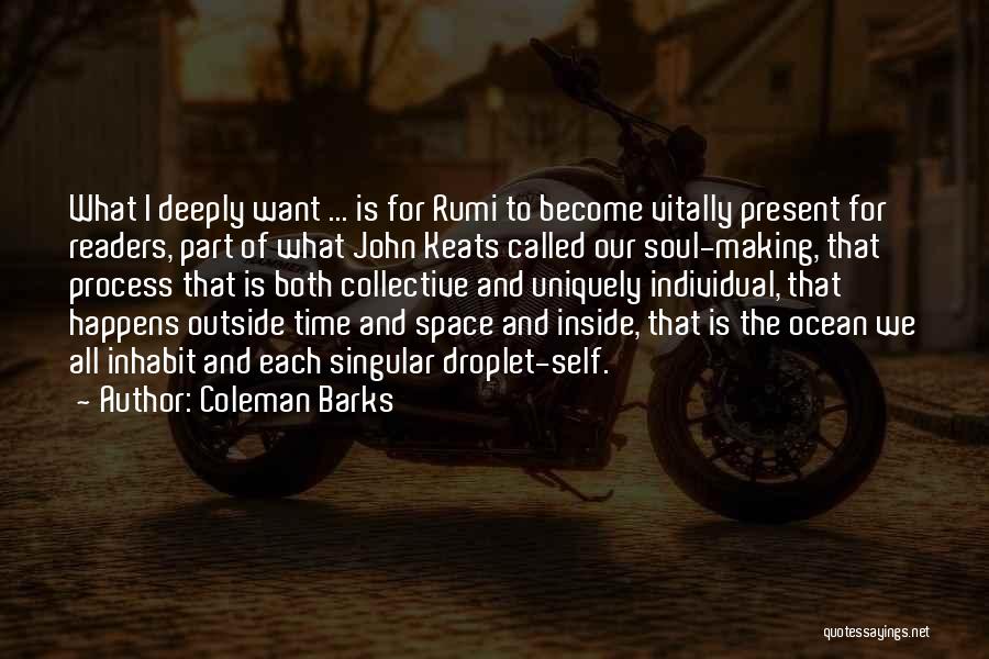 Inside Outside Quotes By Coleman Barks