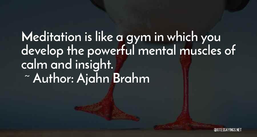 Insight Meditation Quotes By Ajahn Brahm