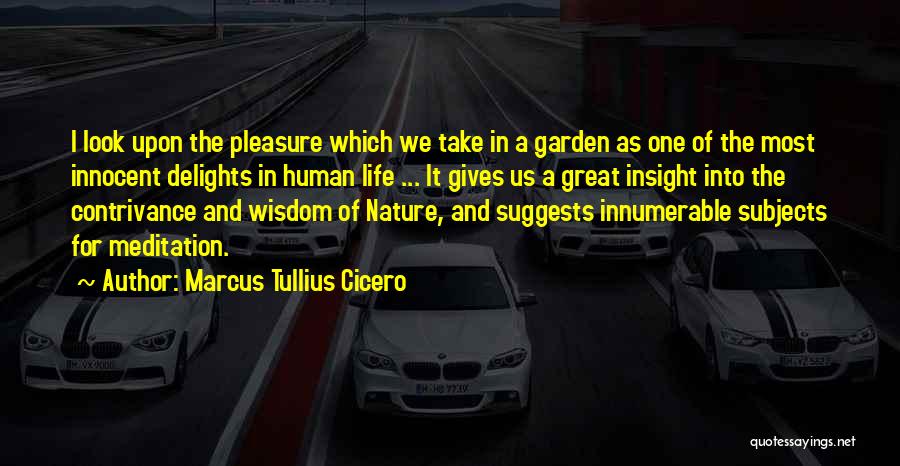 Insight Meditation Quotes By Marcus Tullius Cicero