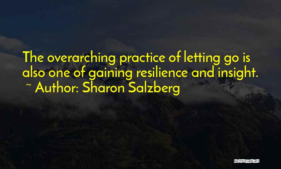 Insight Meditation Quotes By Sharon Salzberg