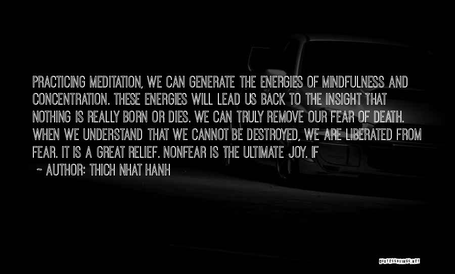 Insight Meditation Quotes By Thich Nhat Hanh