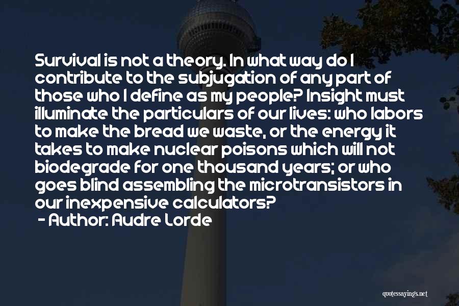 Insight Quotes By Audre Lorde