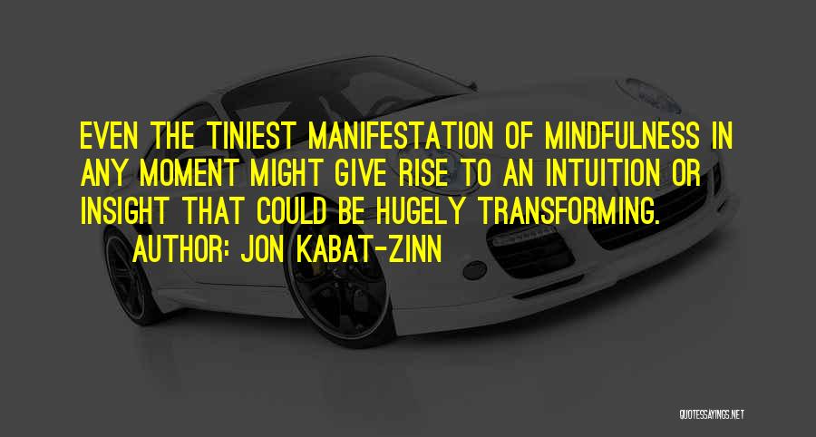 Insight Quotes By Jon Kabat-Zinn