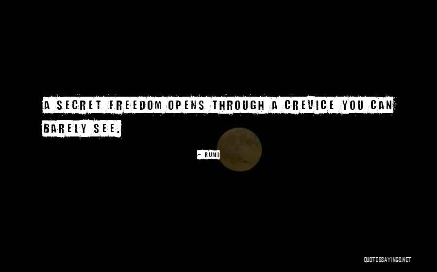 Insight Series Quotes By Rumi Insight Series Quotes By Rumi