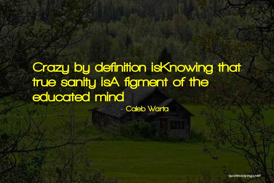 Insights Quotes By Caleb Warta