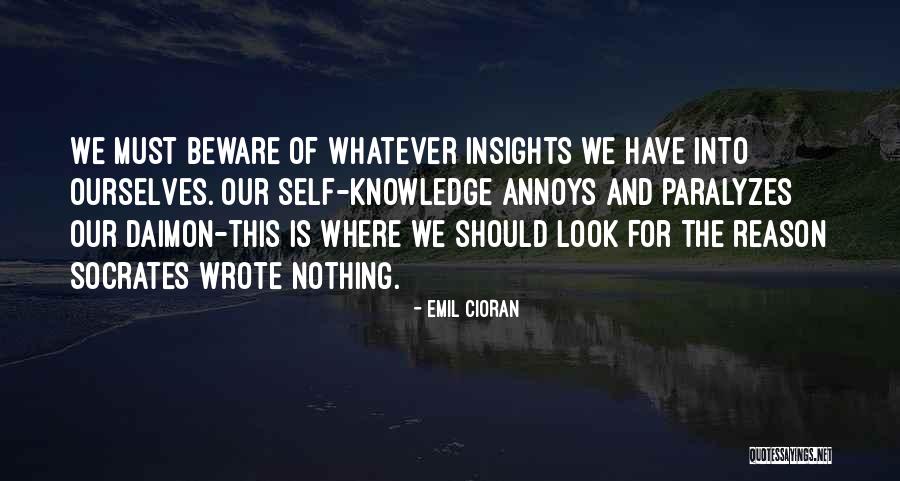 Insights Quotes By Emil Cioran