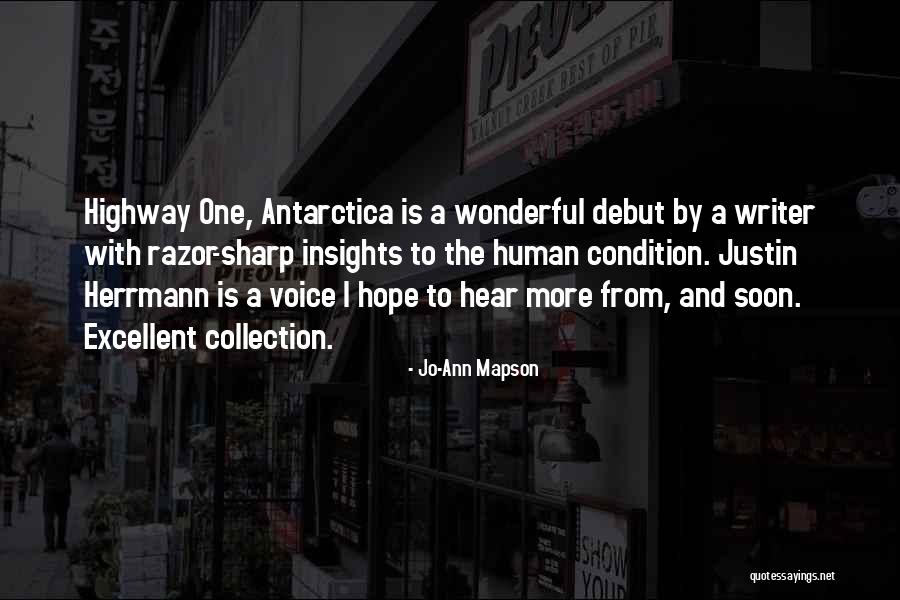 Insights Quotes By Jo-Ann Mapson