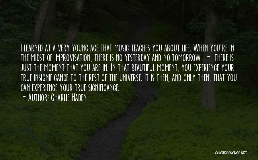 Insignificance Of Life Quotes By Charlie Haden