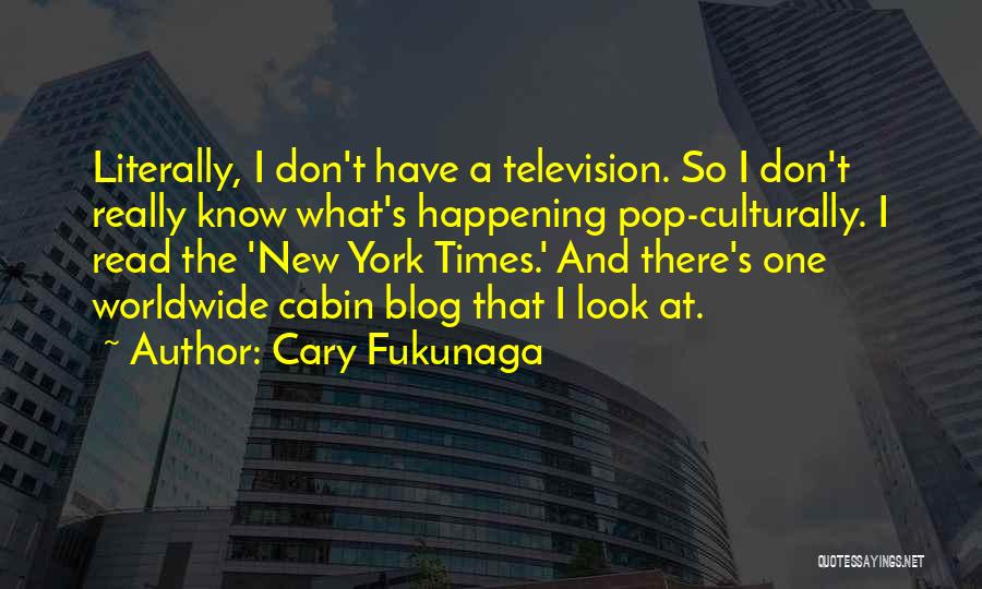 Insignificancia Definicion Quotes By Cary Fukunaga